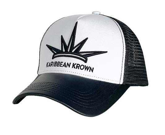 Casquette Similicuir