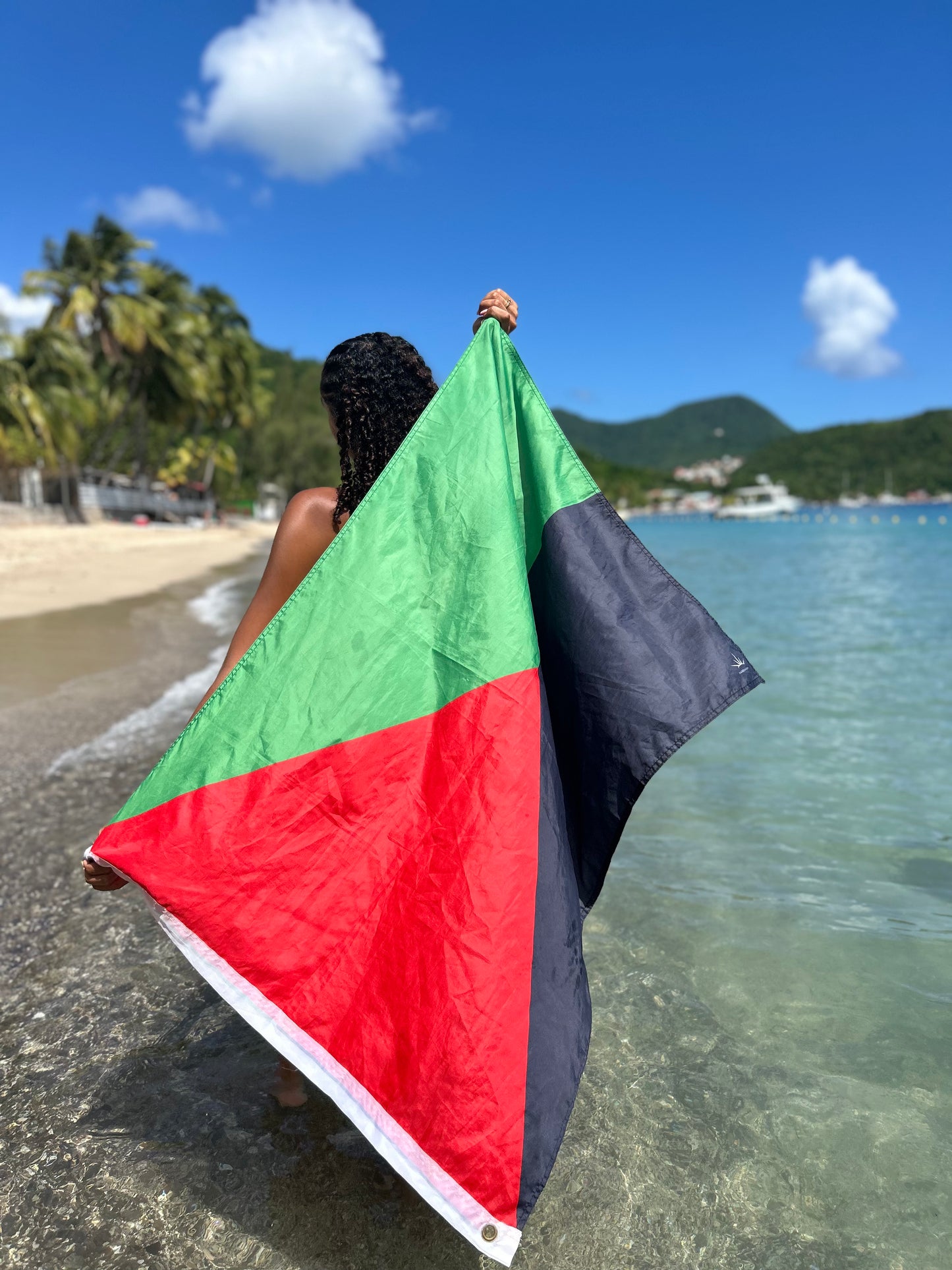 Drapeau de la Martinique